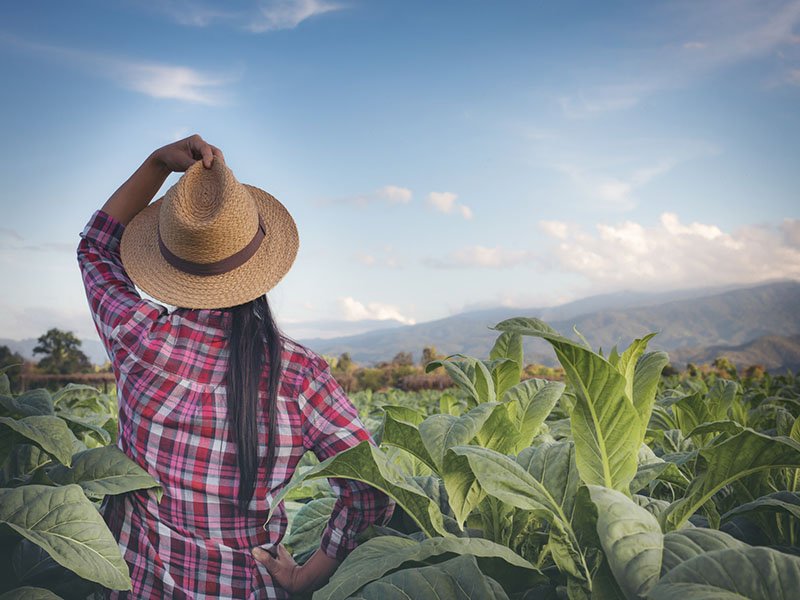 asesoria-agroturismo